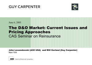 The D&amp;O Market: Current Issues and Pricing Approaches CAS Seminar on Reinsurance