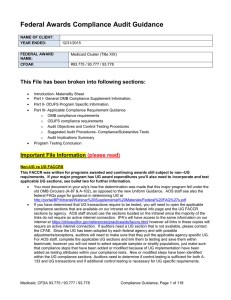 Federal Awards Compliance Audit Guidance