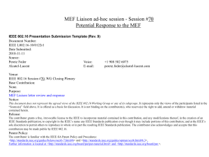 MEF Liaison ad-hoc session - Session #70