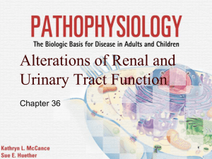 Alterations of Renal and Urinary Tract Function Chapter 36 1