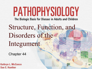 Structure, Function, and Disorders of the Integument Chapter 44