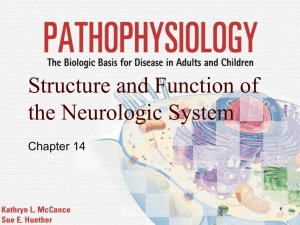 Structure and Function of the Neurologic System Chapter 14 1
