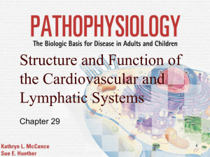 Structure and Function of the Cardiovascular and Lymphatic Systems Chapter 29