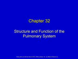 Chapter 32 Structure and Function of the Pulmonary System