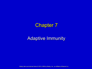 Chapter 7 Adaptive Immunity