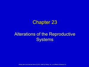Chapter 23 Alterations of the Reproductive Systems