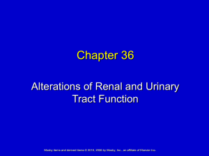 Chapter 36 Alterations of Renal and Urinary Tract Function