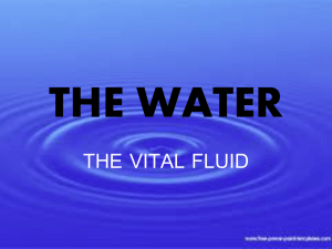 THE WATER THE VITAL FLUID