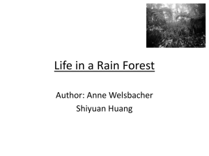 Life in a Rain Forest Author: Anne Welsbacher Shiyuan Huang