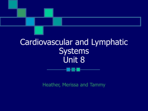 Cardiovascular and Lymphatic Systems Unit 8 Heather, Merissa and Tammy