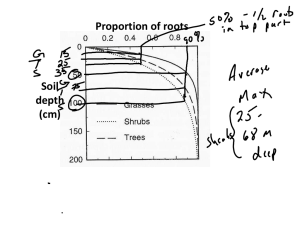 Proportion of roots Soil depth (cm)