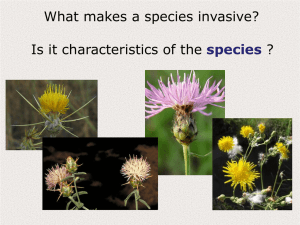 What makes a species invasive? Is it characteristics of the ? species