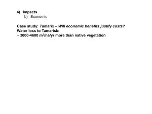 4) Impacts Tamarix Water loss to Tamarisk: /ha/yr more than native vegetation