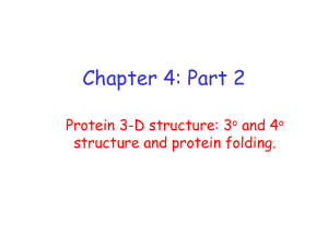 Chapter 4: Part 2 Protein 3-D structure: 3 and 4