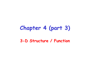 Chapter 4 (part 3) 3-D Structure / Function