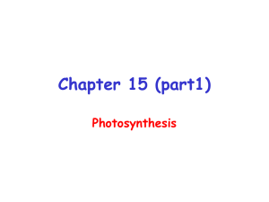 Chapter 15 (part1) Photosynthesis