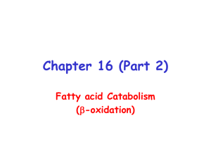 Chapter 16 (Part 2) Fatty acid Catabolism ( -oxidation)