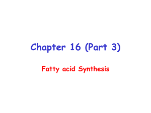 Chapter 16 (Part 3) Fatty acid Synthesis