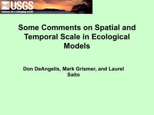 Some Comments on Spatial and Temporal Scale in Ecological Models