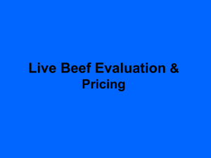 Live Beef Evaluation &amp; Pricing