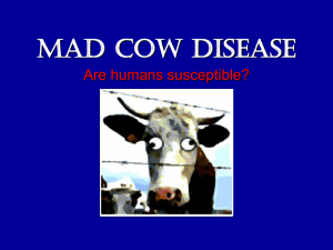 Mad Cow Disease Are humans susceptible?