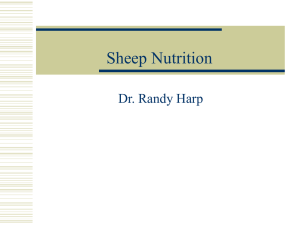 Sheep Nutrition Dr. Randy Harp