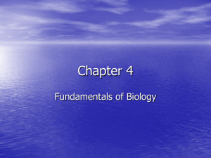 Chapter 4 Fundamentals of Biology