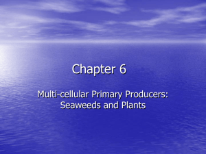 Chapter 6 Multi-cellular Primary Producers: Seaweeds and Plants