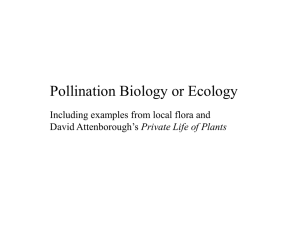 Pollination Biology or Ecology Including examples from local flora and