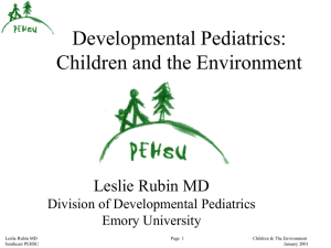 Developmental Pediatrics: Children and the Environment Leslie Rubin MD Division of Developmental Pediatrics