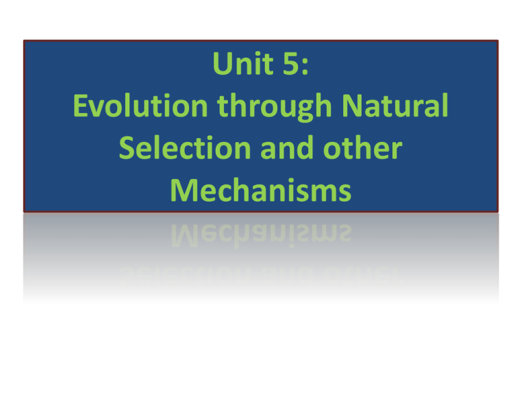 unit-5-evolution-through-natural-selection-and-other-mechanisms