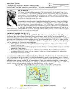 The Bear Facts: Grizzly Recovery in the Bitterroot Ecosystem Grace A. Wang,