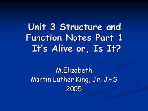 Unit 3 Structure and Function Notes Part 1 M.Elizabeth