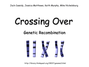 Crossing Over Genetic Recombination Jack Cassidy, Jessica Matthews, Keith Murphy, Mike Nickelsburg