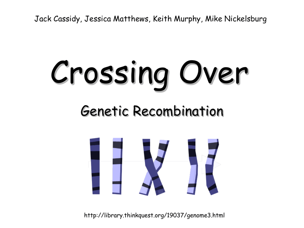 Crossing Over Genetic Recombination Jack Cassidy Jessica Matthews