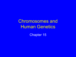 Chromosomes and Human Genetics Chapter 15