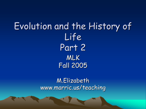 Evolution and the History of Life Part 2 MLK