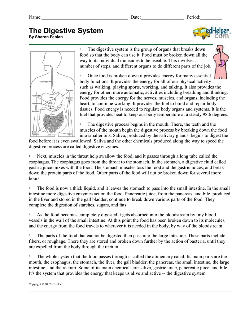 The Digestive System