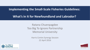 Implementing the Small-Scale Fisheries Guidelines: Ratana Chuenpagdee Too Big To Ignore Partnership