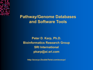 Pathway/Genome Databases and Software Tools Peter D. Karp, Ph.D. Bioinformatics Research Group