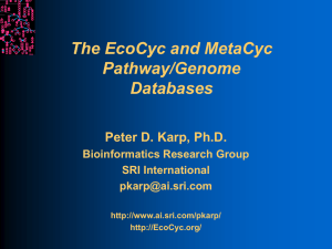 The EcoCyc and MetaCyc Pathway/Genome Databases Peter D. Karp, Ph.D.