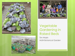 Vegetable Gardening in Raised Beds Tim Walsh