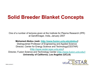 Solid Breeder Blanket Concepts