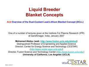Liquid Breeder Blanket Concepts