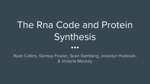 The Rna Code and Protein Synthesis &amp; Victoria Mackey