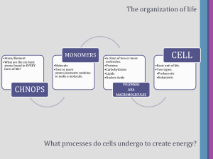 CELL The organization of life MONOMERS