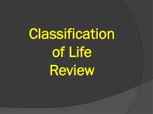 Classification of Life Review