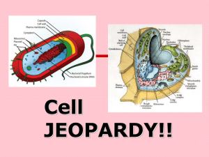 Cell JEOPARDY!!