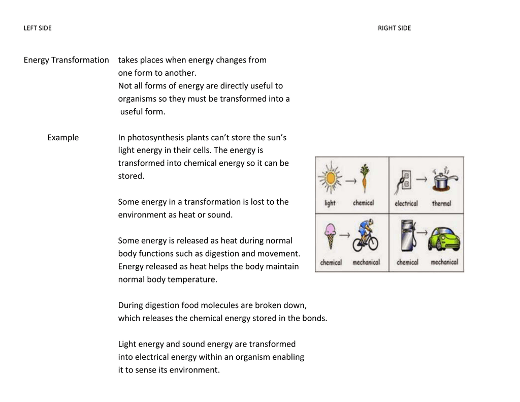 Energy Transformation takes places when energy changes from For Energy Transformation Worksheet Answer Key