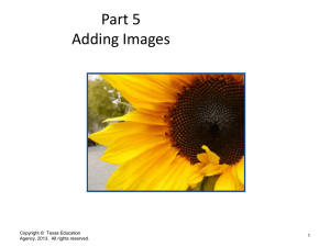 Part 5 Adding Images Copyright ©  Texas Education 1